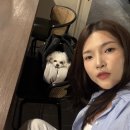 성수 태국 음식 맛집 애견동반 가능한 소이나나에서 즐기는 타이 푸드 후기