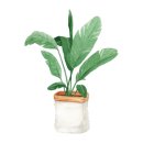 그림책이랑놀자 이미지