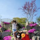 홍성고기마을 이미지