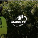 명품셀프세차 이미지