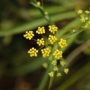 경희솔한의원 이미지