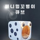 원목 애견하우스 고양이 숨숨집 큐브 반려동물하우스 이미지