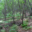 푸른농장B 이미지