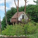 양양 스테이나무 이미지