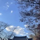 고대산자연휴양림 | 🍃 반차 내고 다녀온 나홀로 캠핑, 고대산 자연휴양림 후기 🌙