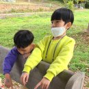 서남초등학교병설유치원 이미지