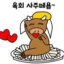 도매정육점 이미지