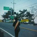 도산일주로 이미지