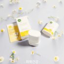 그린핑거 프레쉬 마일드 선스틱 후기