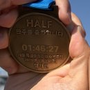 (주)코리아세븐 뚝섬점 | 코리아오픈레이스 2026 하프마라톤 후기, 뚝섬한강공원 코스 강추(26.03.07)