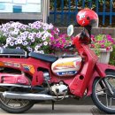 파워스크린 이미지