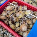 오정농수산물 도매시장 이미지