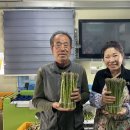 서춘천농업협동조합 이미지