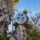 5756 | 골프장이랑 가까워 핫플이라는 제주 표선 숙소 방문 후기