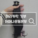 어머나 | 머리카락 기부 어머나운동본부 주소 조건 방법 3번째 후기