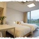 남해-313 이미지