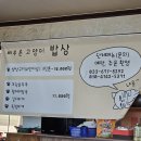 배부른고양이 | 양양 아침식사 가능한 밥집 | 해장 최고 배부른 고양이 방문 후기