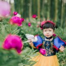 백설크리닝 이미지