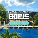 보홀 가족여행 가성비호텔 : 타마린드 (미니 주방있는 킹룸과 트리플룸 이용) 장점과 단점