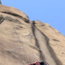 삼칠이PC 이미지