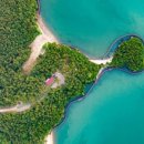 트리캠핑장 이미지