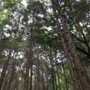 창원샌드위치, 태복산 등산 필수템! 달리는커피 도계명서점 샌드위치