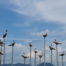 용현초등학교 정문 이미지