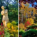 가을 단풍 여행지로 추천하는 가을꽃 명소 모음 이미지