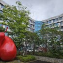 마리나베이속초 이미지