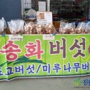 미루나무구이 이미지