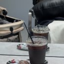 크리스탈 반려견미용실 | 청라 미용실 아벨라움 누리 원장님 극손상모 매직 후기