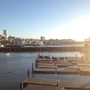 신흥부자공인중개사사무소 이미지