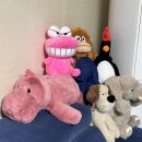 홍길동 농장 | 12월의 주저리 일기 (25년 끝+사진과다주의)