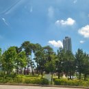 이화찹쌀순대 이미지