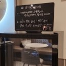 데이롱 카페 서초양재점