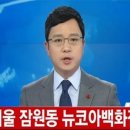 뉴코아