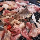 도시고기 이미지