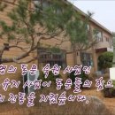 흥도초등학교 이미지