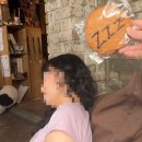 잠시 | [서울 청파동] 고양이가 있는 카페 잠시 (zamsi) 방문 후기