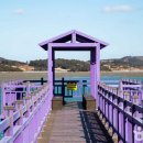 퍼플여행 이미지