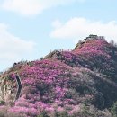 4/2~3일 금요무박-"진달래 명산 일번지" 여수 영취산 진달래&향일암 일출 산행 안내 이미지