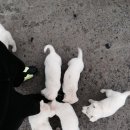 오늘 술 먹자
