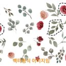 금손되는 일러스트레이터 이미지