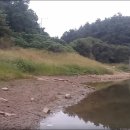 (주)태산스마트팜 이미지