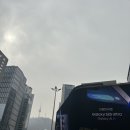 와이제이쇼핑 네이버블로그