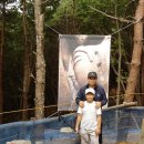 마애불화장실 이미지