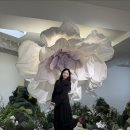 러브러브 이미지