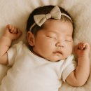 강원특별자치도삼척의료원 공공산후조리원 | 공공산후조리원 감면 대상과 절차