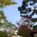 죽양대로2071번길 이미지