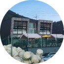 거제체크인펜션 | 거제 체크인 펜션 내돈내산 후기/ 가조도 펜션 / 거제도 가족여행 숙소추천 / 아이랑 거제도 여행